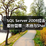 SQL Server 2008报表服务管理：本地与SharePoint模式对比