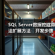 SQL Server数据挖掘算法扩展方法：开发步骤与实现技巧