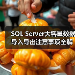 SQL Server大容量数据导入导出注意事项全解析