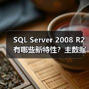SQL Server 2008 R2有哪些新特性？主数据管理成核心亮点