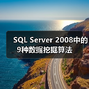 SQL Server 2008中的9种数据挖掘算法