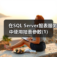 在SQL Server报表服务中使用报表参数(1) 在SQL Server报表服务中使用报表参数(1)
