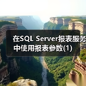在SQL Server报表服务中使用报表参数(1) 在SQL Server报表服务中使用报表参数(1)