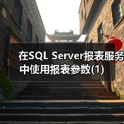 在SQL Server报表服务中使用报表参数(1) 在SQL Server报表服务中使用报表参数(1)