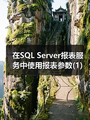 在SQL Server报表服务中使用报表参数(1) 在SQL Server报表服务中使用报表参数(1)