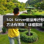 SQL Server数据库迁移方法有哪些？详细解析