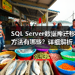 SQL Server数据库迁移方法有哪些？详细解析