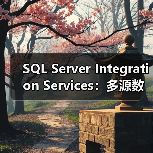 SQL Server Integration Services:多源数据集成的高效方案 SQL Server Integration Services:多源数据集成的高效方案