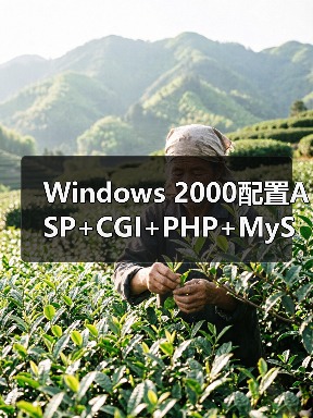 Windows 2000 IIS CGI配置全解析:支持Perl与PHP-智穹界来普科技 Windows 2000 IIS CGI配置全解析:支持Perl与PHP-智穹界来普科技