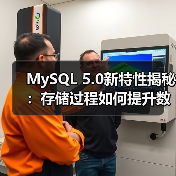 MySQL 5.0新特性揭秘：存储过程如何提升数据库效率？