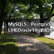 MySQL5、PostgreSQL8和Oracle10g的初步比较 MySQL5、PostgreSQL8和Oracle10g的初步比较