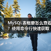MySQL表概要怎么查看？使用命令行快速获取信息