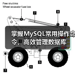 掌握MySQL常用操作命令，高效管理数据库