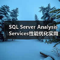 SQL Server Analysis Services性能优化实用技巧 SQL Server Analysis Services性能优化实用技巧