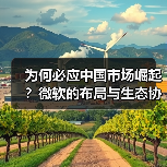 为何必应中国市场崛起？微软的布局与生态协同效应