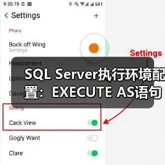 SQL Server执行环境转换：EXECUTE AS语句应用与权限管理-智穹界来普科技