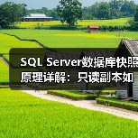 SQL Server 2005数据库快照应用全解析：报表与灾难恢复的秘密-智穹界来普科技