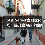 SQL Server索引优化策略：如何提升查询性能？-智穹界来普科技