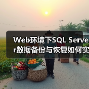 Web环境下SQL Server数据备份与恢复如何实现？