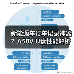 新能源车行车记录神器？A50V U盘性能解析