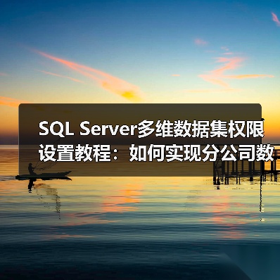 SQL Server多维数据集权限设置教程：如何实现分公司数据隔离？