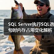 SQL Server执行SQL语句时内存占用变化解析