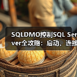 SQL Server启动代码实现方法详解-智穹界来普科技