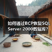 如何通过BCP恢复SQL Server 2000数据库？
