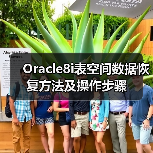 Oracle8i表空间数据恢复方法及操作步骤