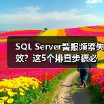 SQL Server警报频繁失效？这5个排查步骤必须知道