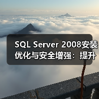 SQL Server 2008安装优化与安全增强：提升数据库性能的关键功能