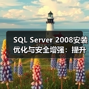 SQL Server 2008安装优化与安全增强：提升数据库性能的关键功能