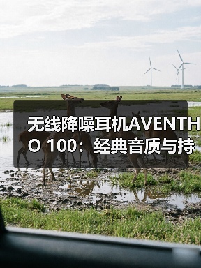无线降噪耳机AVENTHO 100：经典音质与持久续航的日常优选