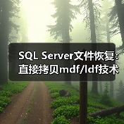 SQL Server文件恢复：直接拷贝mdf/ldf技术详解