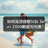如何高效获取SQL Server 2000数据列列表? 如何高效获取SQL Server 2000数据列列表?