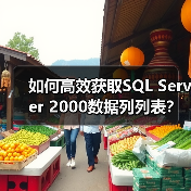 如何高效获取SQL Server 2000数据列列表? 如何高效获取SQL Server 2000数据列列表?