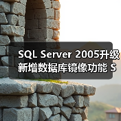 SQL Server 2005升级新增数据库镜像功能 SAP集成升级 SQL Server 2005升级新增数据库镜像功能 SAP集成升级