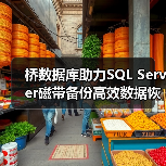 如何高效利用桥数据库实现磁带备份？-智穹界来普科技