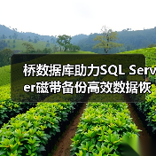 如何高效利用桥数据库实现磁带备份？-智穹界来普科技