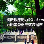 如何高效利用桥数据库实现磁带备份？-智穹界来普科技