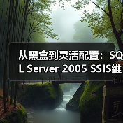 从黑盒到灵活配置:SQL Server 2005 SSIS维护计划深度解析 从黑盒到灵活配置:SQL Server 2005 SSIS维护计划深度解析