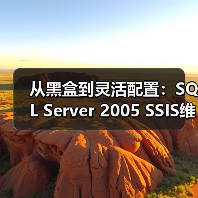 从黑盒到灵活配置:SQL Server 2005 SSIS维护计划深度解析 从黑盒到灵活配置:SQL Server 2005 SSIS维护计划深度解析