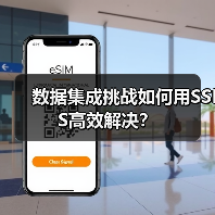 数据集成挑战如何用SSIS高效解决？