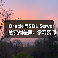 Oracle与SQL Server的实战差异:学习资源与社区支持对比 Oracle与SQL Server的实战差异:学习资源与社区支持对比