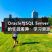 Oracle与SQL Server的实战差异:学习资源与社区支持对比 Oracle与SQL Server的实战差异:学习资源与社区支持对比