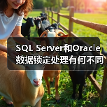 SQL Server和Oracle数据锁定处理有何不同？