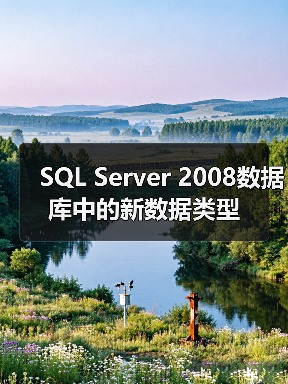 SQL Server 2008数据库中的新数据类型 SQL Server 2008数据库中的新数据类型