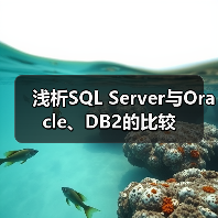 浅析SQL Server与Oracle、DB2的比较