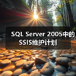 SQL Server 2005中的SSIS维护计划 SQL Server 2005中的SSIS维护计划