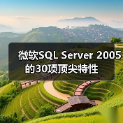 微软SQL Server 2005的30项顶尖特性